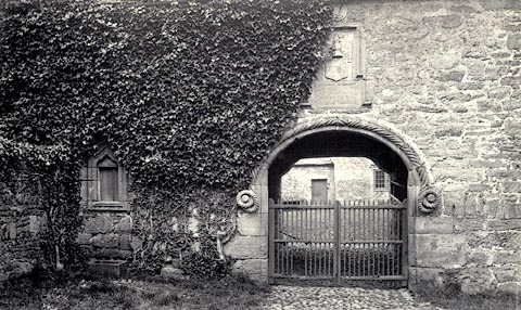 image, button to large image