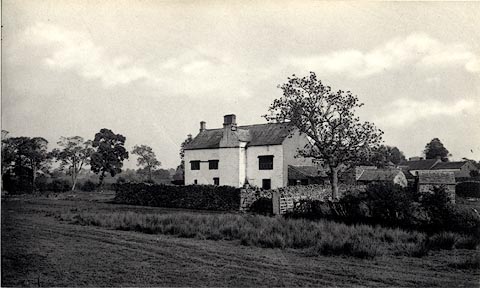 image, button to large image