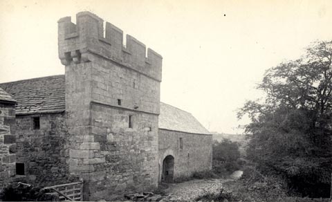 image, button to large image