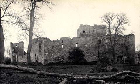 image, button to large image