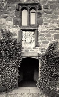 image, button to large image