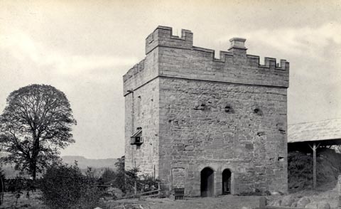 image, button to large image