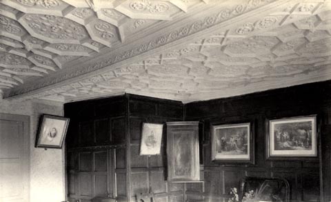 image, button to large image