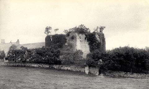 image, button to large image