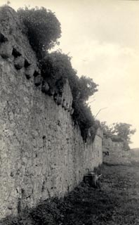 image, button to large image