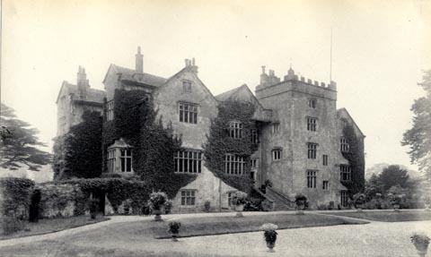 image, button to large image