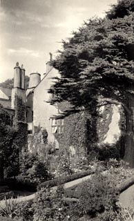 image, button to large image