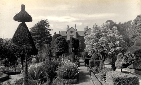 image, button to large image