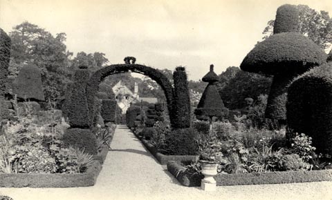 image, button to large image