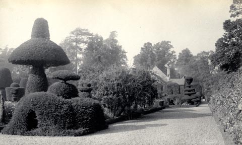 image, button to large image