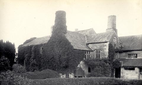 image, button to large image