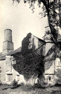 image, button to large image