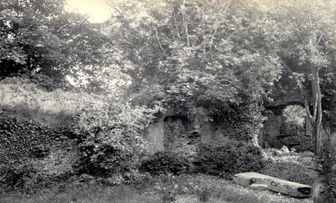 image, button to large image