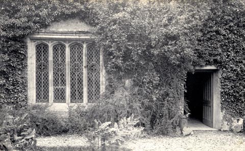 image, button to large image