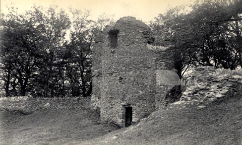 image, button to large image