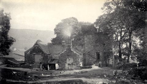 image, button to large image