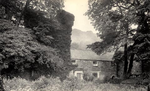 image, button to large image