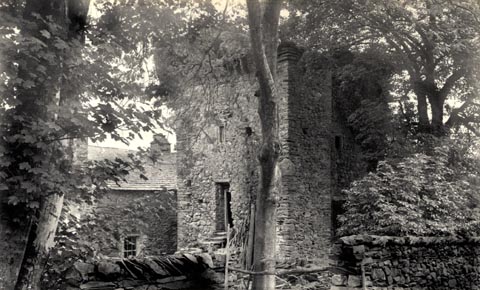 image, button to large image