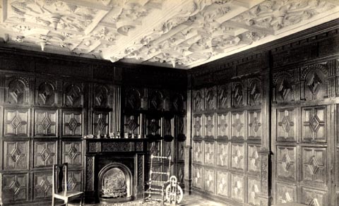 image, button to large image