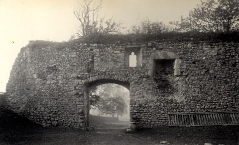 image, button to large image