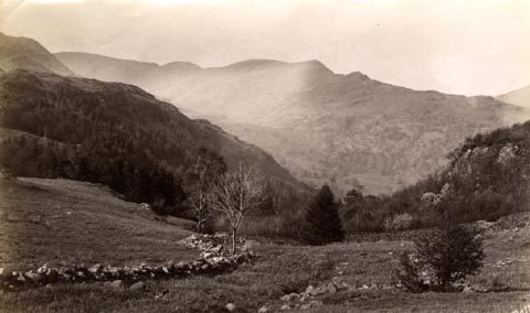 image, button to large image