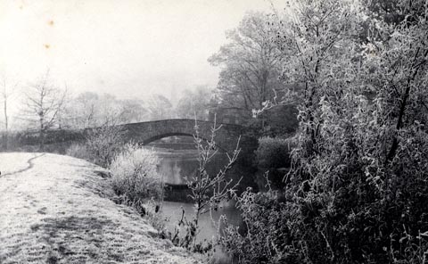 image, button to large image