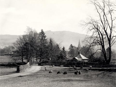 image, button to large image