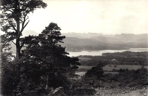 image, button to large image