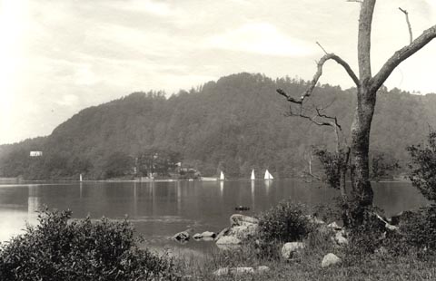 image, button to large image