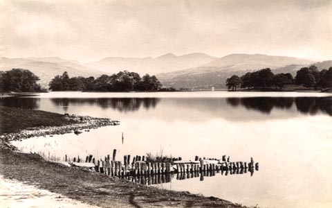 image, button to large image