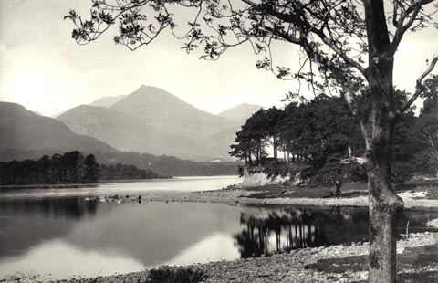 image, button to large image