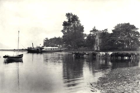 image, button to large image