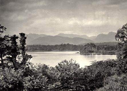 image, button to large image