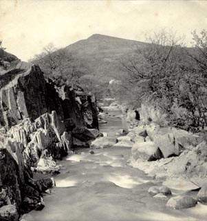 image, button to large image