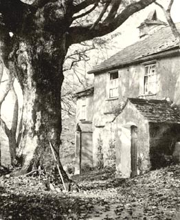 image, button to large image