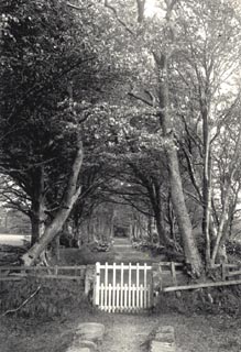 image, button to large image