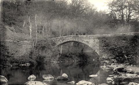 image, button to large image