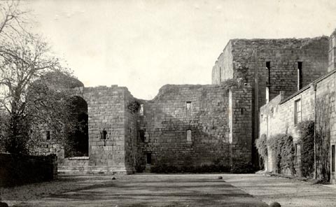 image, button to large image