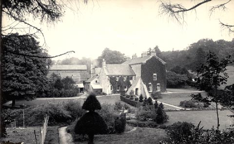 image, button to large image