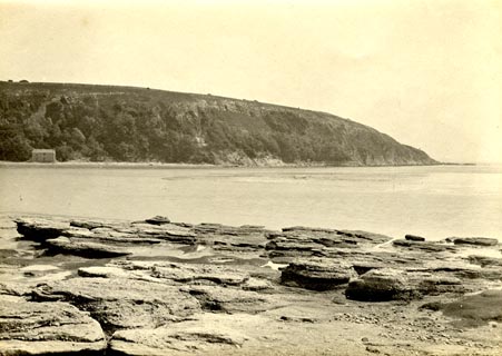 image, button to large image