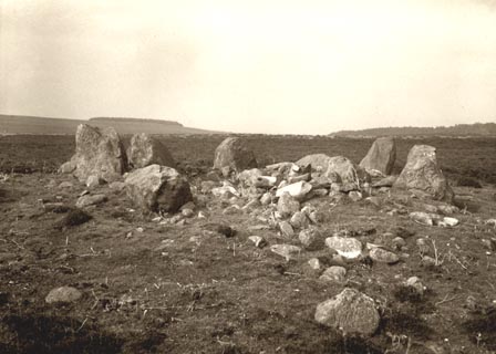 image, button to large image