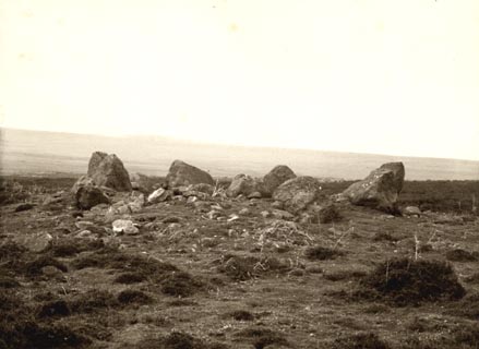 image, button to large image