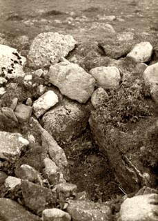 image, button to large image