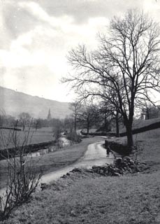 image, button to large image