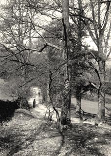 image, button to large image