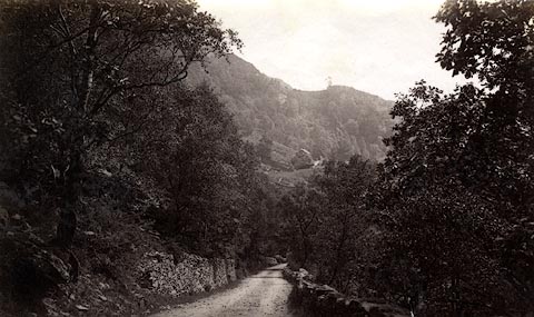 image, button to large image