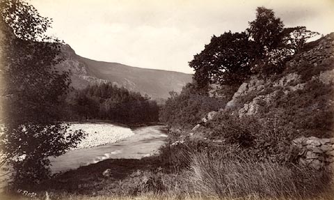 image, button to large image