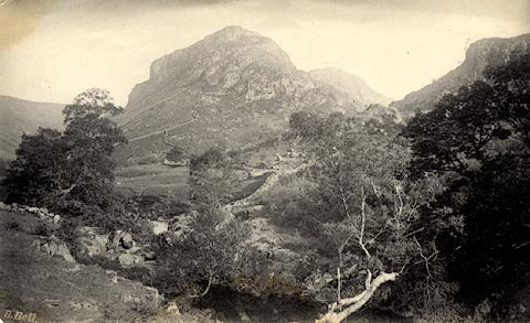 image, button to large image