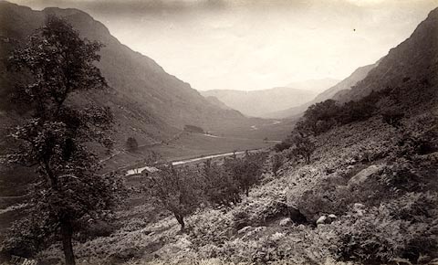 image, button to large image