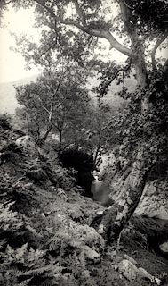 image, button to large image